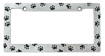 070323frame.gif