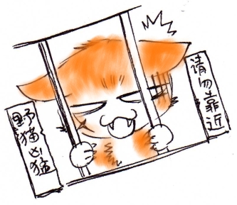 070827jc.jpg